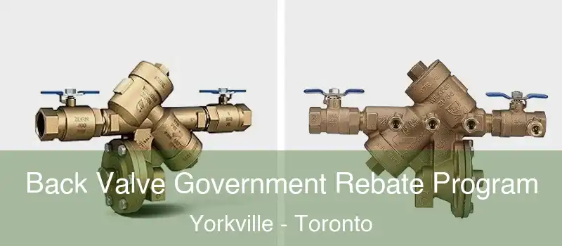  Back Valve Government Rebate Program Yorkville - Toronto
