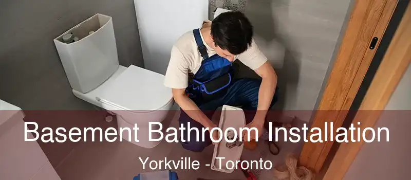  Basement Bathroom Installation Yorkville - Toronto