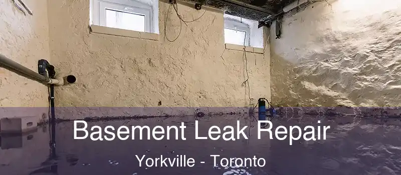  Basement Leak Repair Yorkville - Toronto