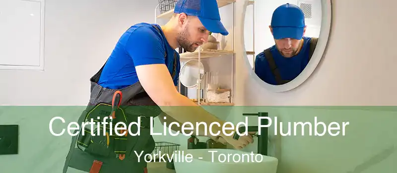  Certified Licenced Plumber Yorkville - Toronto