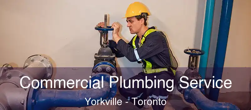  Commercial Plumbing Service Yorkville - Toronto