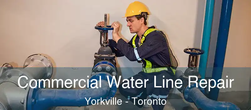  Commercial Water Line Repair Yorkville - Toronto