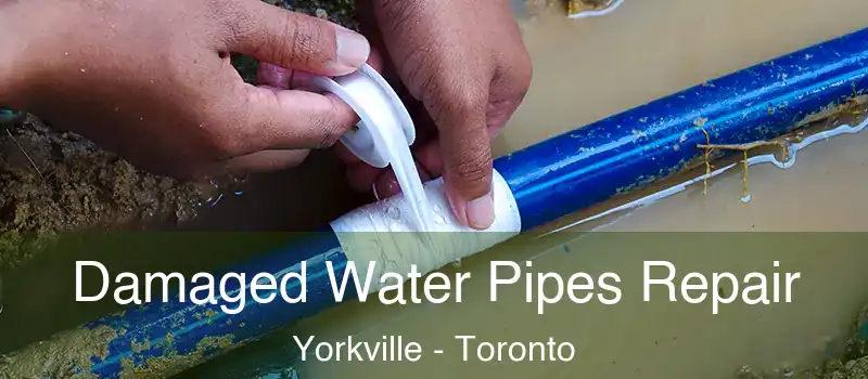  Damaged Water Pipes Repair Yorkville - Toronto