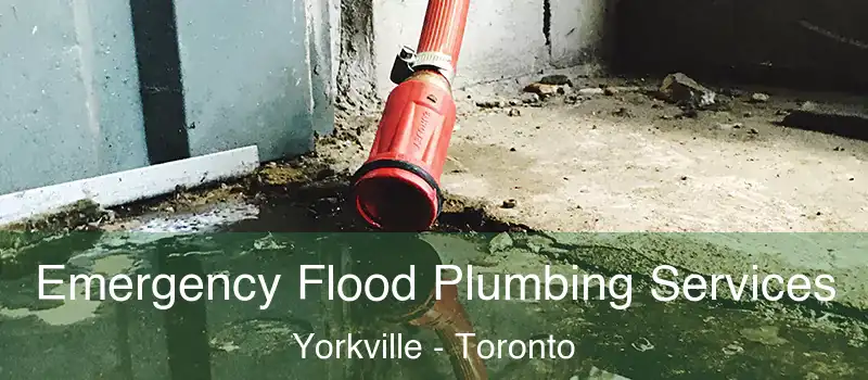  Emergency Flood Plumbing Services Yorkville - Toronto