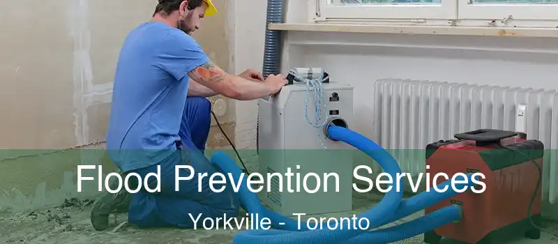  Flood Prevention Services Yorkville - Toronto