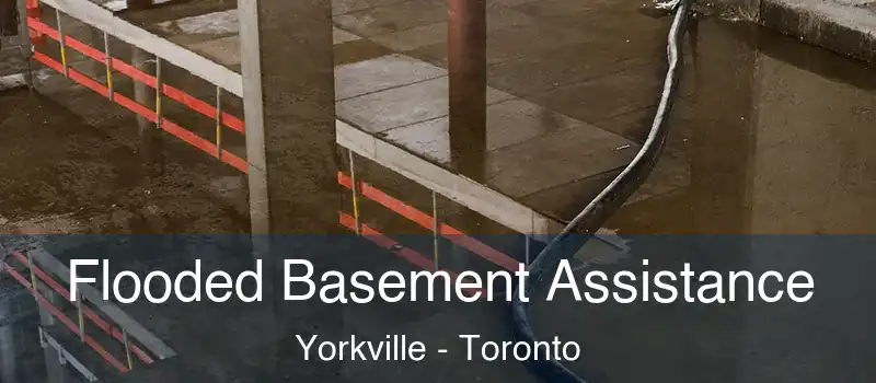  Flooded Basement Assistance Yorkville - Toronto