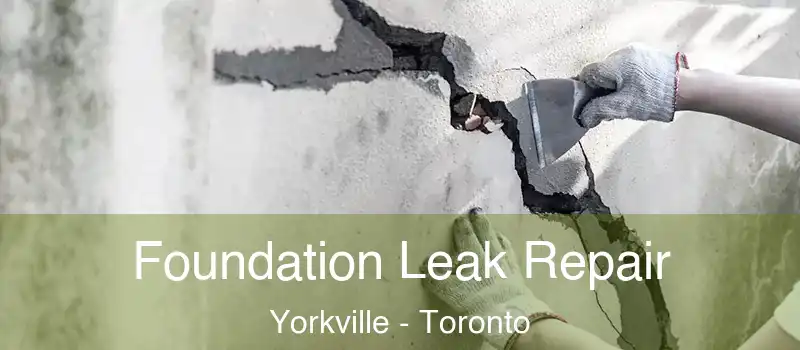 Foundation Leak Repair Yorkville - Toronto