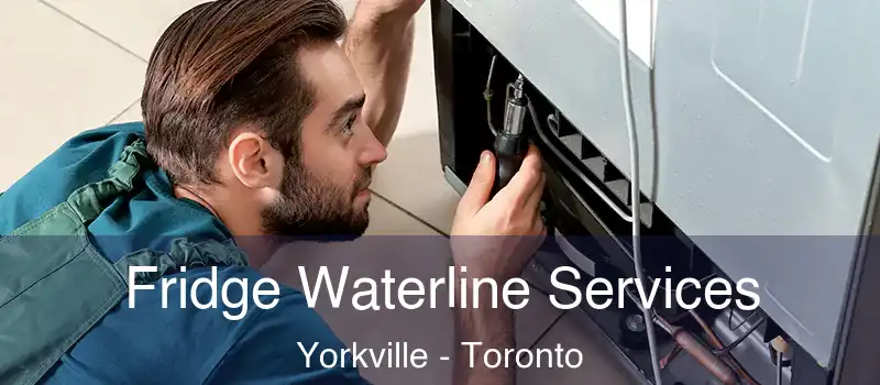  Fridge Waterline Services Yorkville - Toronto
