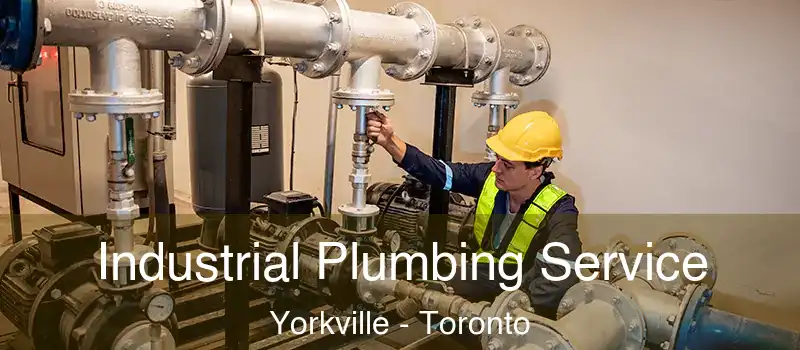  Industrial Plumbing Service Yorkville - Toronto