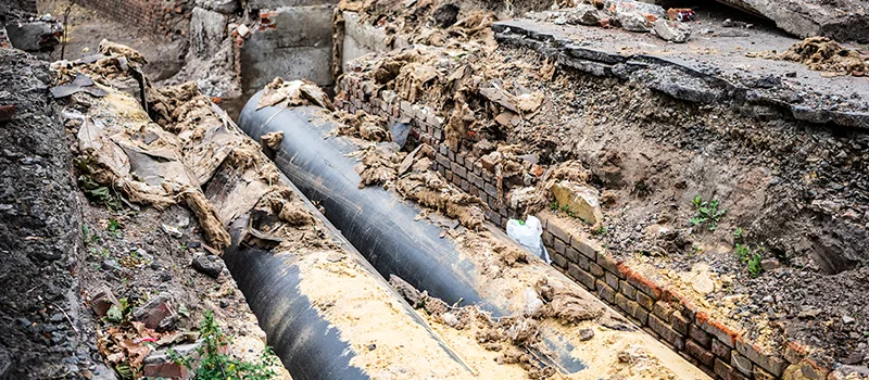 Commercial Sewer Tree Roots Damage Solutions in Yorkville, Toronto