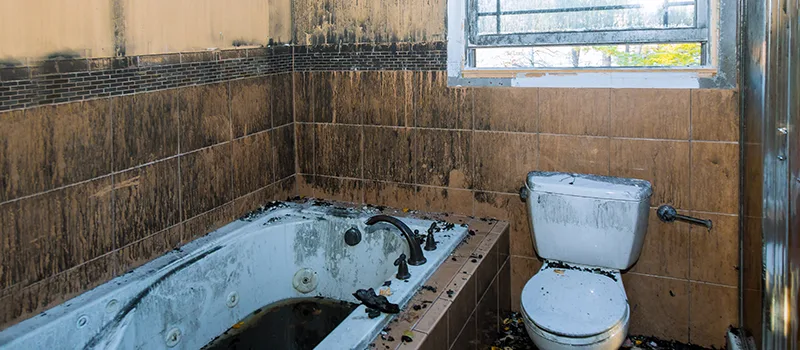 Residential Water Damage Restoration in Yorkville, Toronto
