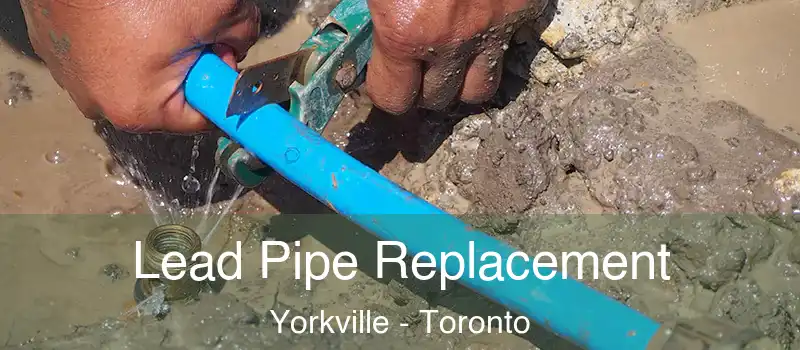  Lead Pipe Replacement Yorkville - Toronto