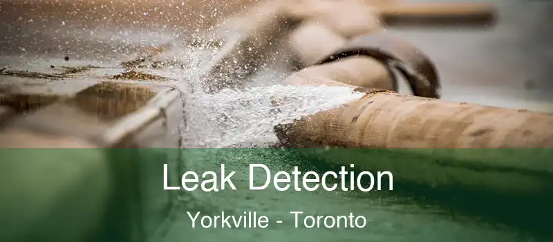  Leak Detection Yorkville - Toronto
