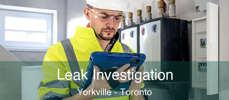  Leak Investigation Yorkville - Toronto