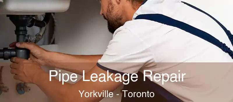  Pipe Leakage Repair Yorkville - Toronto