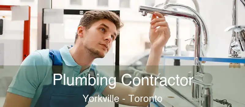 Plumbing Contractor Yorkville - Toronto