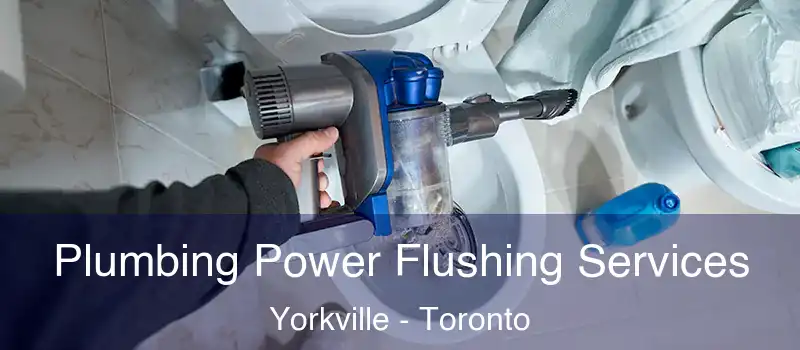  Plumbing Power Flushing Services Yorkville - Toronto