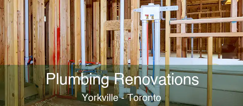  Plumbing Renovations Yorkville - Toronto