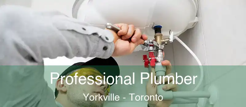  Professional Plumber Yorkville - Toronto