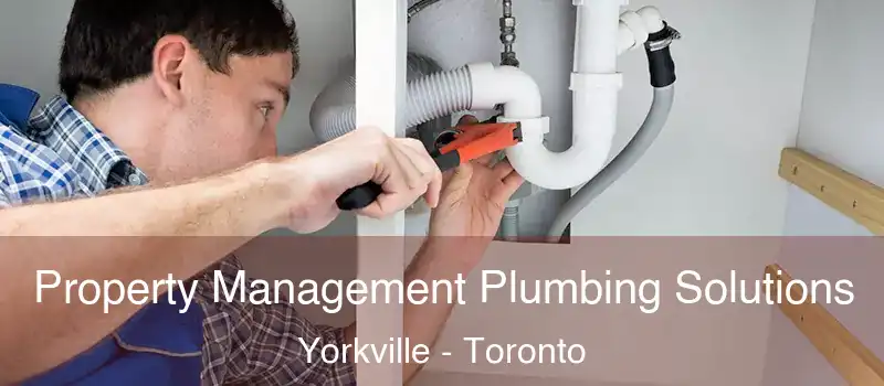  Property Management Plumbing Solutions Yorkville - Toronto