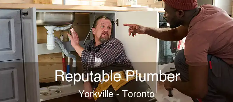  Reputable Plumber Yorkville - Toronto