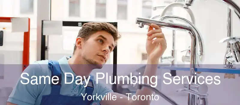  Same Day Plumbing Services Yorkville - Toronto