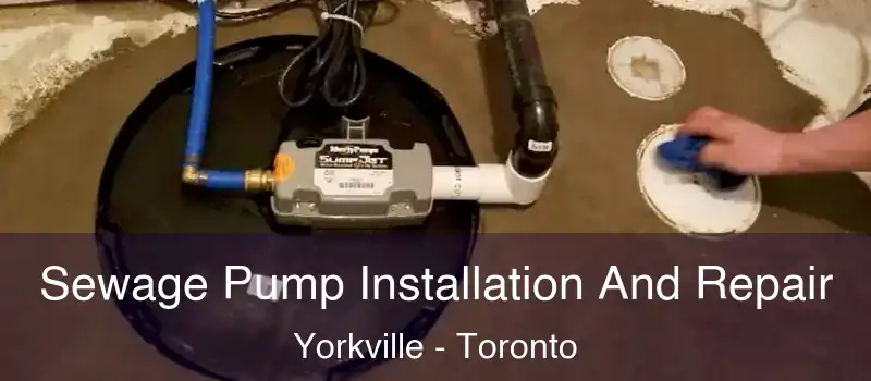  Sewage Pump Installation And Repair Yorkville - Toronto