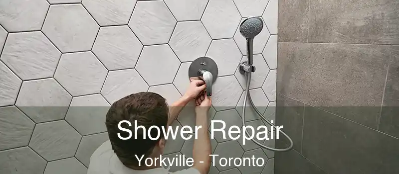  Shower Repair Yorkville - Toronto