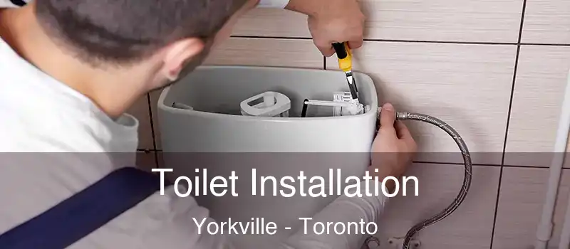  Toilet Installation Yorkville - Toronto