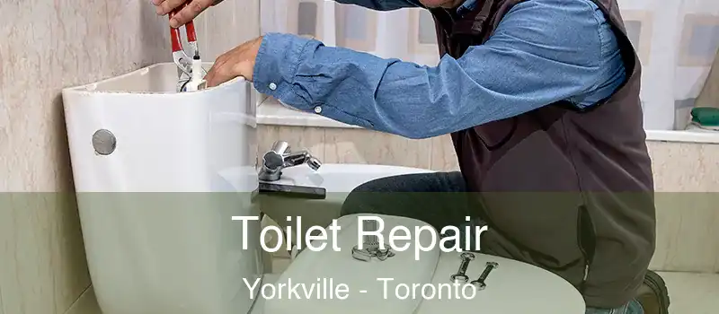 Toilet Repair Yorkville - Toronto