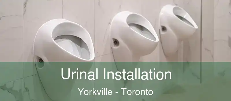  Urinal Installation Yorkville - Toronto
