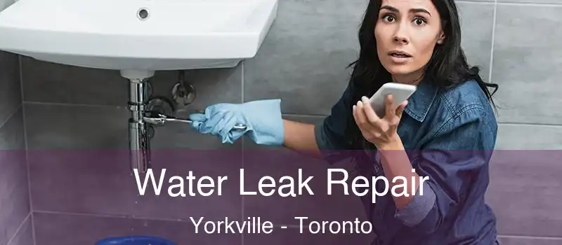  Water Leak Repair Yorkville - Toronto