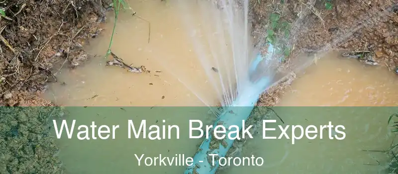  Water Main Break Experts Yorkville - Toronto