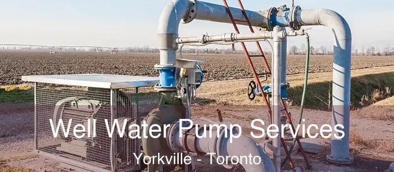  Well Water Pump Services Yorkville - Toronto